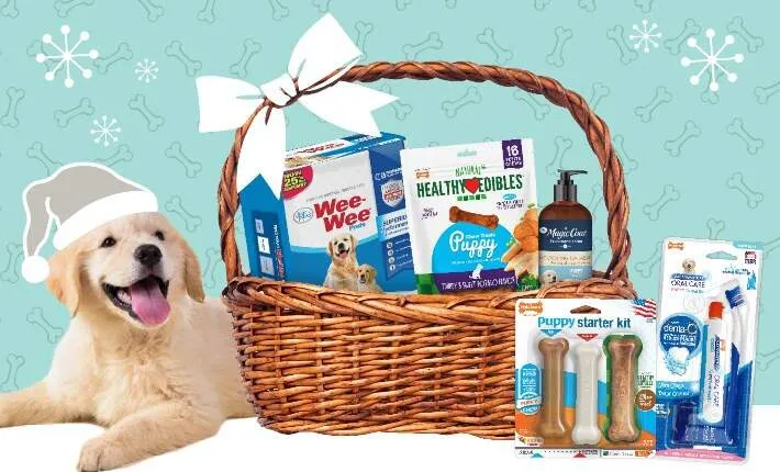 Dog Gift Baskets: Perfect Presents for Every Pup and Their Humans